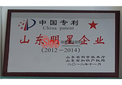 中國(guó)專利山東明星企業(yè)